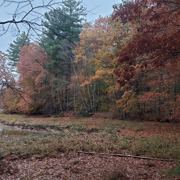 *SOLD*🧡DESO Supply Co•Wanderer Zip Hoodie•Terra Cotta Rust•Large🎉3xHP!🎉 - Picture 2 of 15